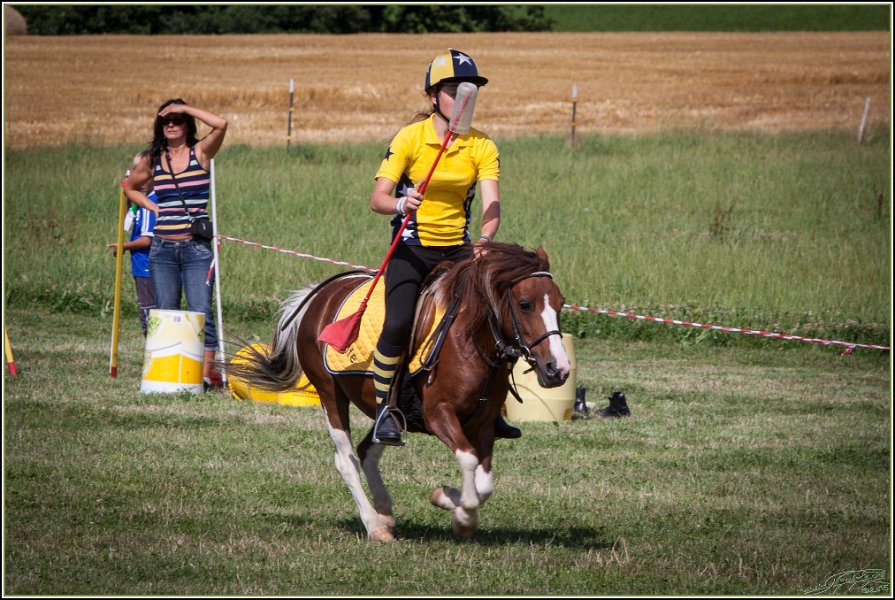 Mounted Games 287